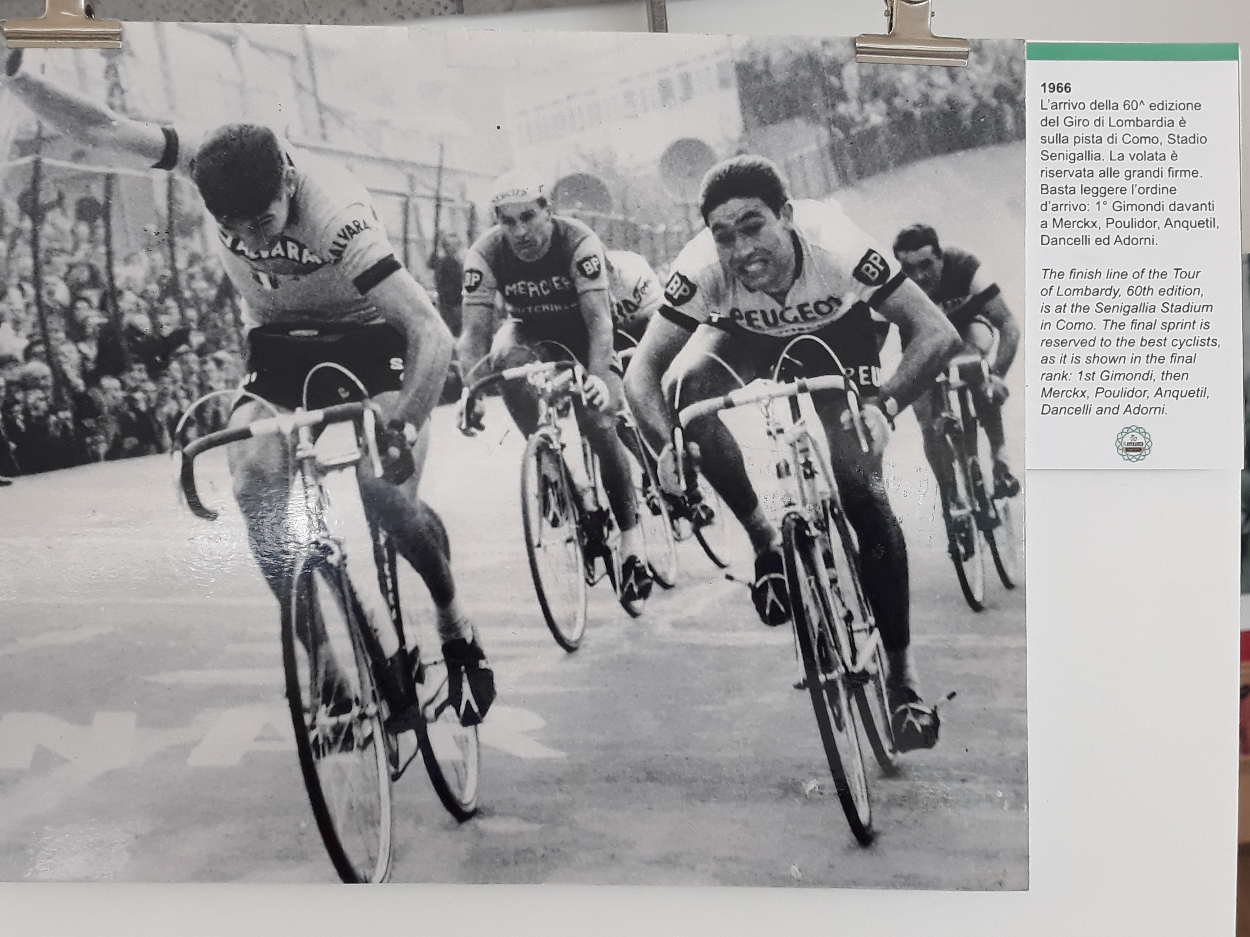 Gimondi,Merckx,Poulidor,Anquetil